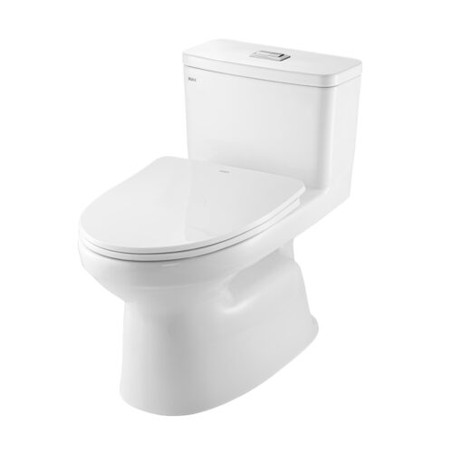 Bồn cầu 1 khối