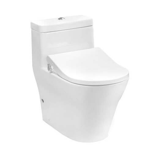 Bồn cầu TOTO CW166RB/TCW09S nắp rửa cơ