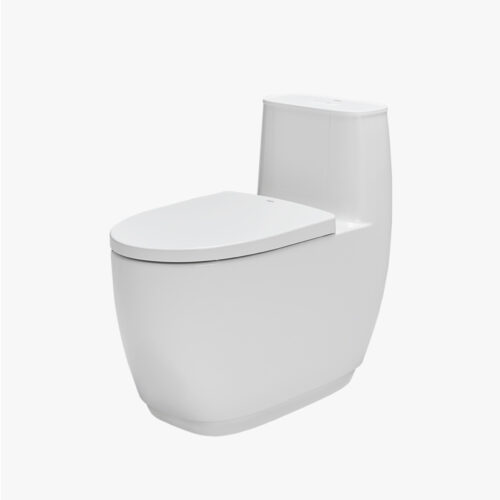 Bồn cầu 1 khối