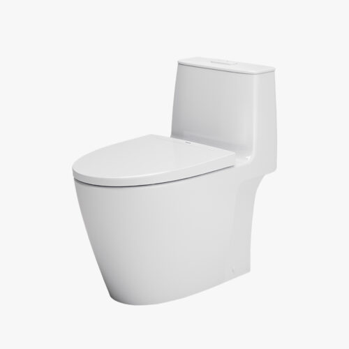 Bồn cầu 1 khối