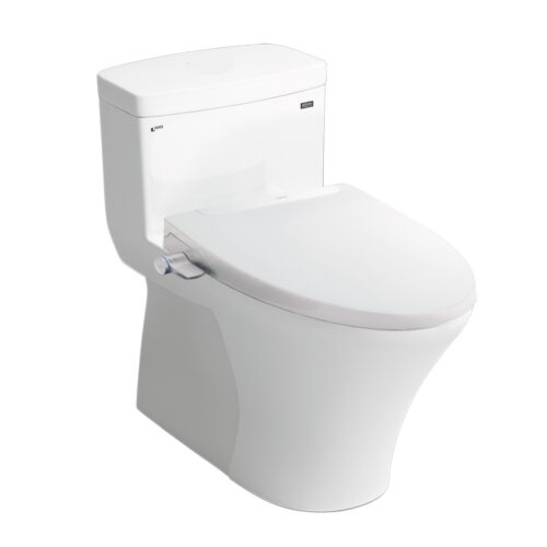 bồn cầu nắp rửa cơ inax