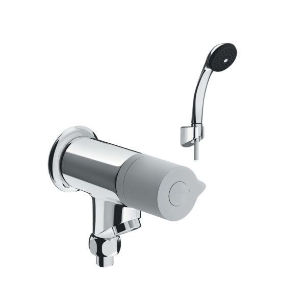 BFV-10-2C sen tắm nước lạnh